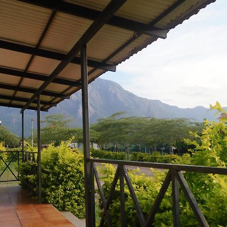马西尼古蒂 Mountain View酒店 外观 照片