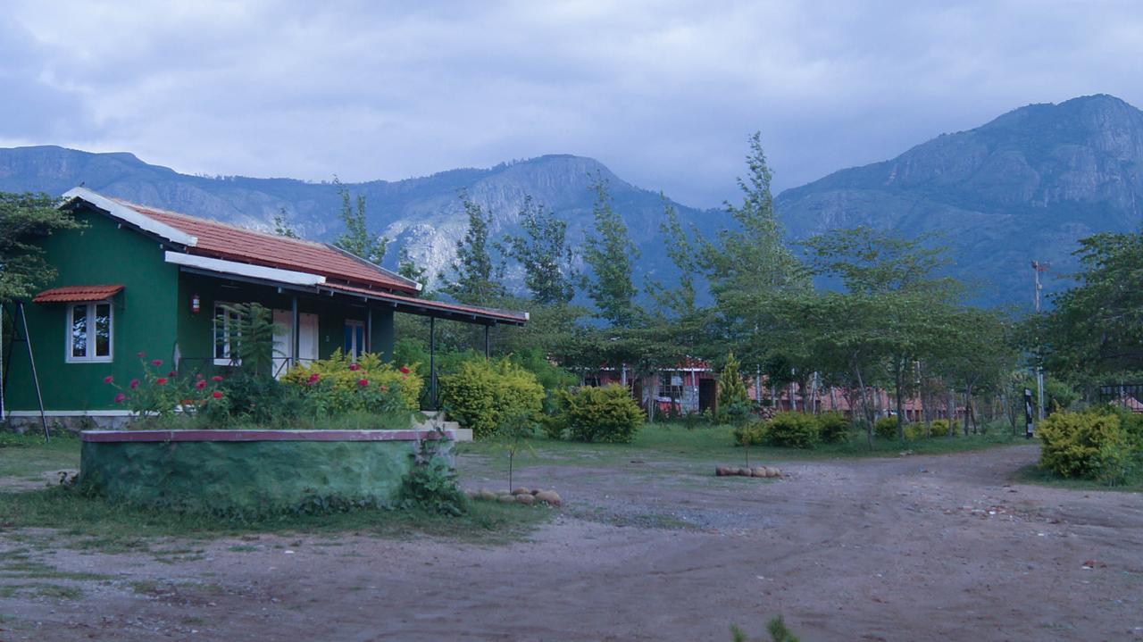 马西尼古蒂 Mountain View酒店 外观 照片