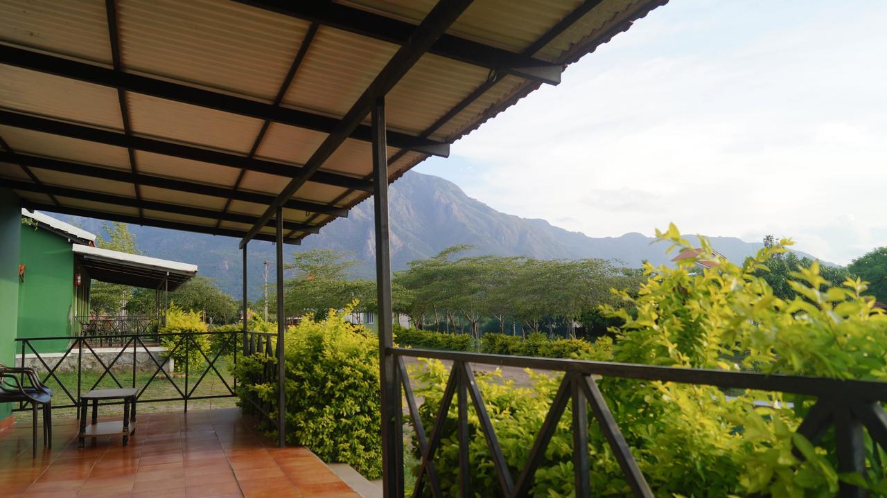 马西尼古蒂 Mountain View酒店 外观 照片