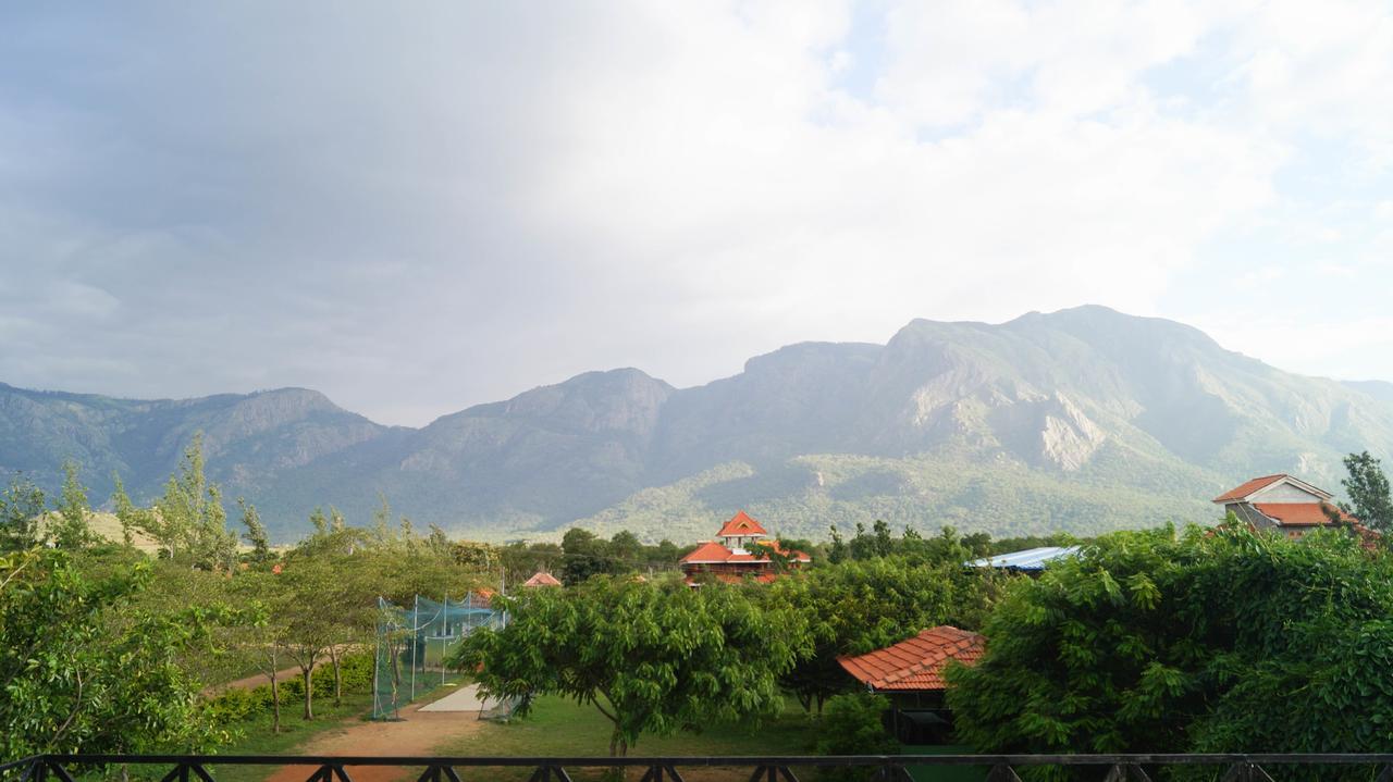 马西尼古蒂 Mountain View酒店 外观 照片